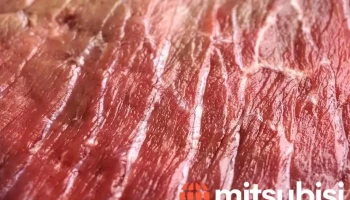 Aibi birojs, Lopu uzpirkšana, sertificēta kautuve - Ērgļi