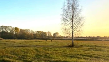 Autostāvvieta, autoserviss - Kurzemes Rajons