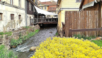 Jelgavas ielas 1a stāvvieta - Kuldīga