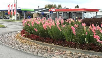 Puto automazgātava - Sūru Iela 3 Blakus