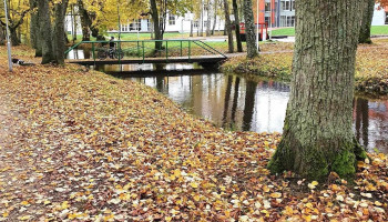 Ropažu muižas parks - Ropažu Pagasts