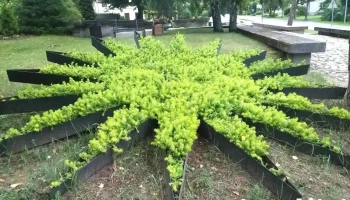 Saulkrastu novada pašvaldība - Saulkrasti