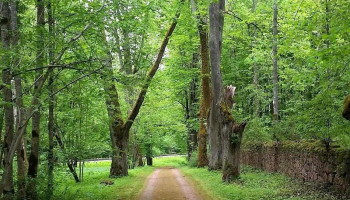 Skrīveru Dendroloģiskais parks - Aizkraukles Novads