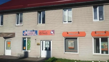 Šūšanas Darbnīca, Līga Grasa - Gulbene
