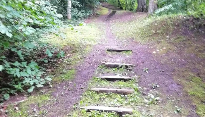 Aknistes Pakalpojumi Visi - Aknīste