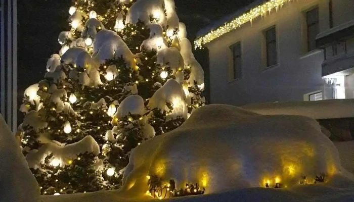 Brocēnu novada pašvaldība - Brocēni