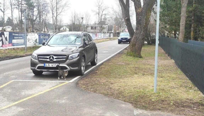 Disabled parking - Jūrmala