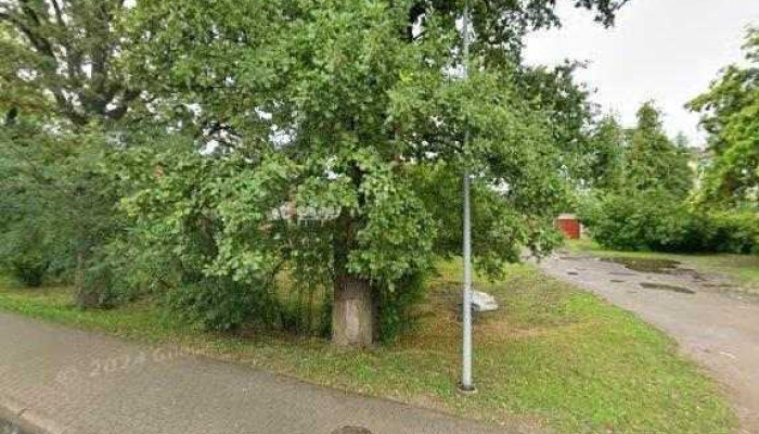 Ieva -  Ielas Attels Un 360deg - Auce
