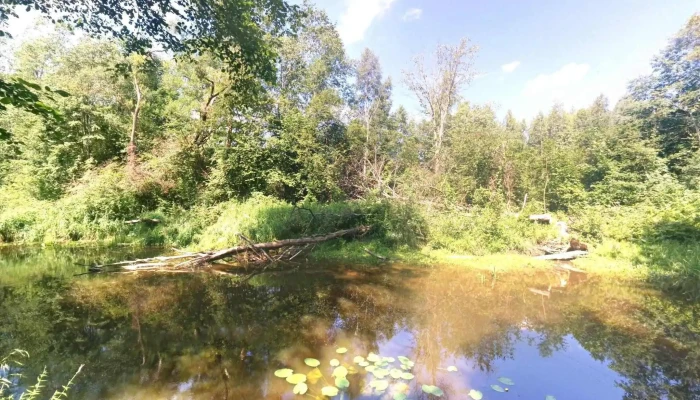 Kokneses Pagasts -  Ielas Attels Un 360deg - Kokneses Pagasts, Aizkraukles Novads