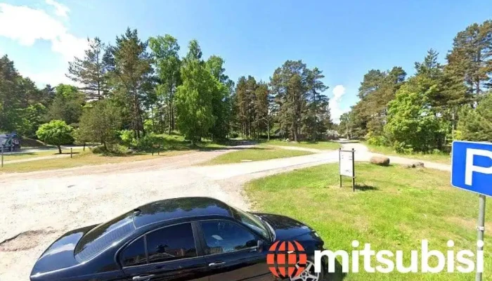 Latvijas aptieka - Roja
