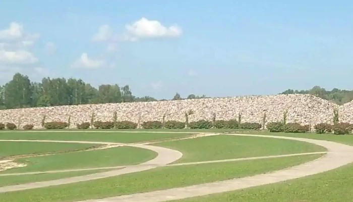 Liktendarzs Videoklipi - Koknese