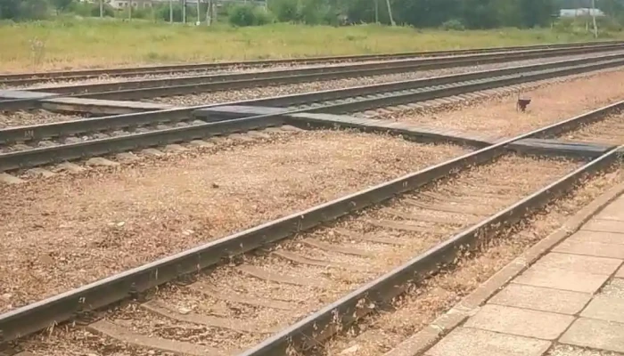Ludzas Dzelzcela Stacija Videoklipi - Ludza