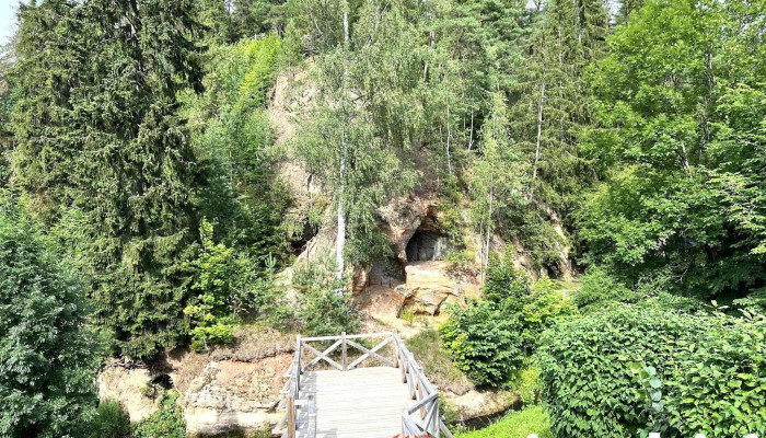 Lustūzis - Līgatnes Pilsēta