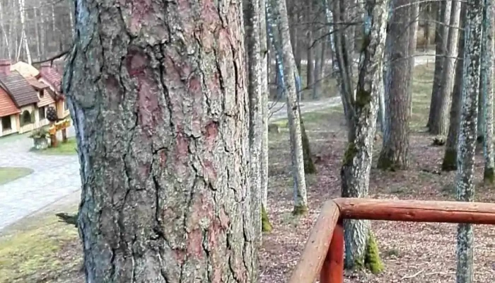 Lvm Dabas Parks Tervete Videoklipi - Tērvete