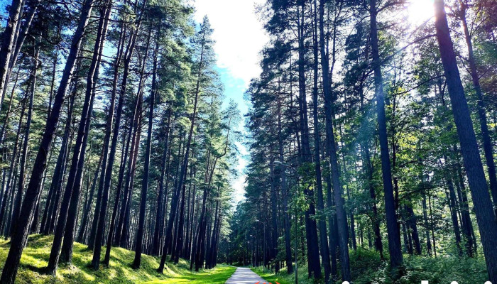 Mezaparks Jansevska Prospekts - Rīga