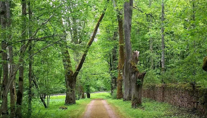 Skrīveru Dendroloģiskais parks - Aizkraukles Novads