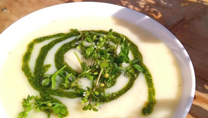 Slow Food Straupe Tirdzins Jaunakie - Straupe