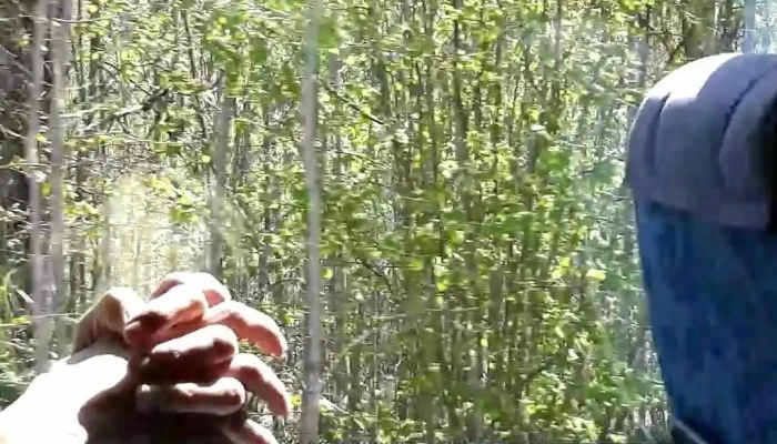 Viada -  Videoklipi - Pļaviņas