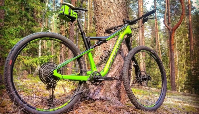 Ziedleju velo noma - Sigulda