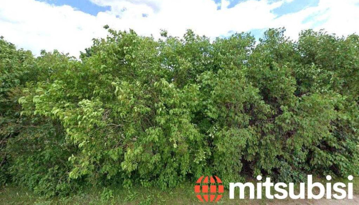 Ķeguma pilsētas sociālais dienests - Ķegums